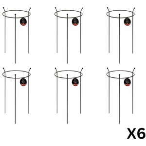 6 Pack of Small Heavy Duty Garden Plant Supports