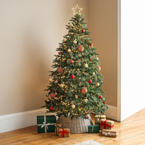 Fraser Fir Christmas Tree