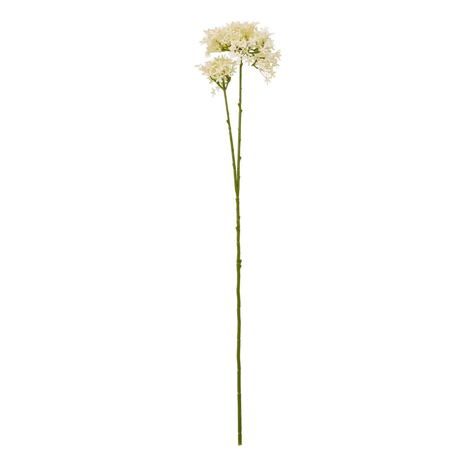 Wyld Haus Set of 3 Cream Crown Hydrangea Artificial Stems 710 mm - Cream