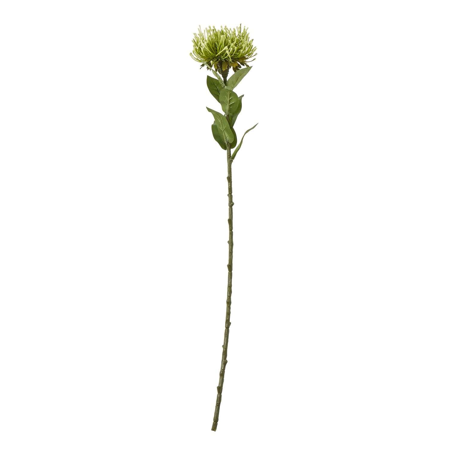 Set of 3 Protea Lorea Artificial Stems - Green