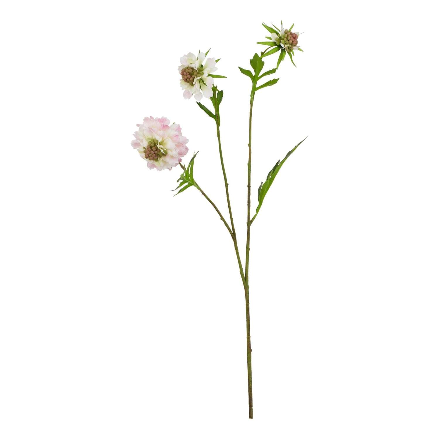 Set of 3 Pale Pink Artificial Scabious Stems - Pink