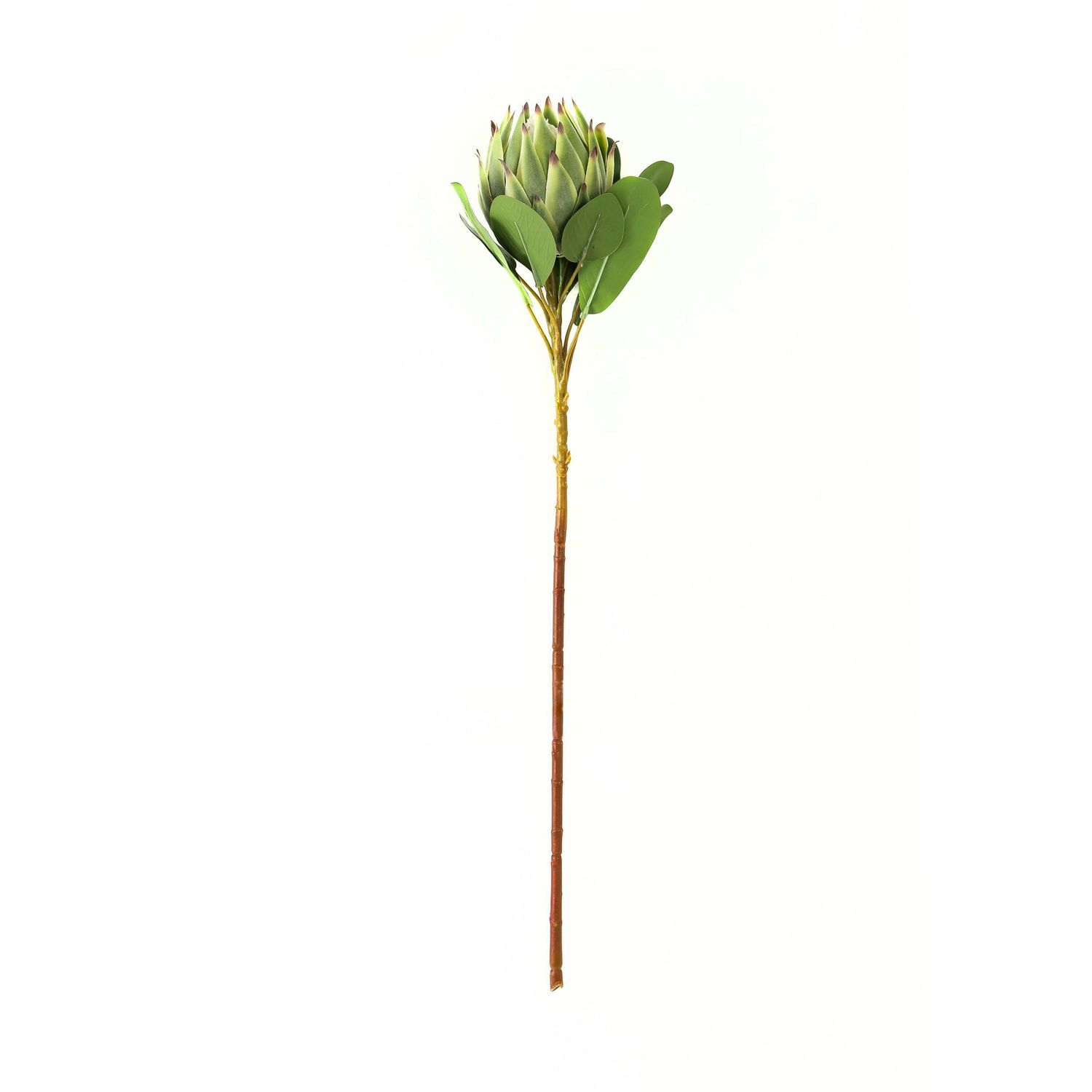 Hill Interiors Protea Protea Artificial Flower - Green