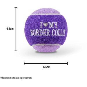 Pre-personalised Dog Ball Toy - Beau - Over 100 Options