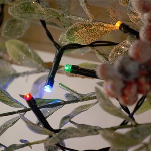Multicolour Timer String Lights