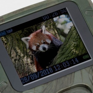  shot 3529035