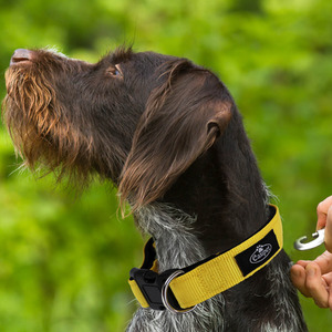  shot 4635135