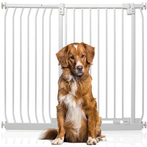  shot 5817029