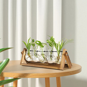 5 Glass Bulbs Vase with Wooden Stand