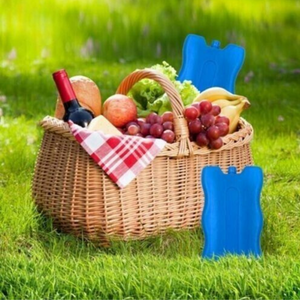 Ice Packs Blocks Cooler Bag Freezer