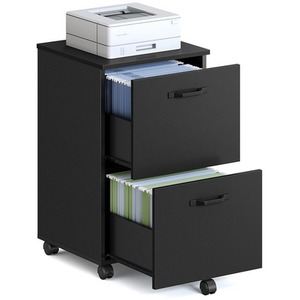 2 Drawer Portable Rolling Filing Cabinet