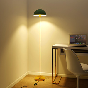 Modern Floor Standing Lamp