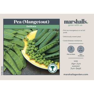 Delikata Mangetout Pea Seeds RHS AGM