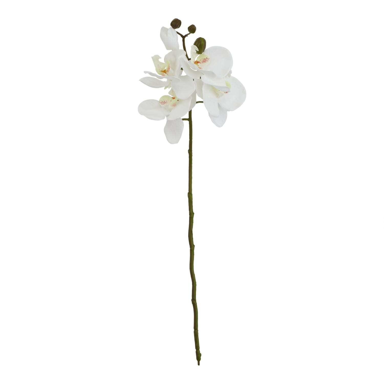 Set of 3 Butterfly Orchid Artificial Flower Stems - White