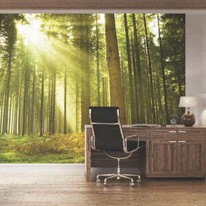 Spruce Forest Evergreen Wall Mural