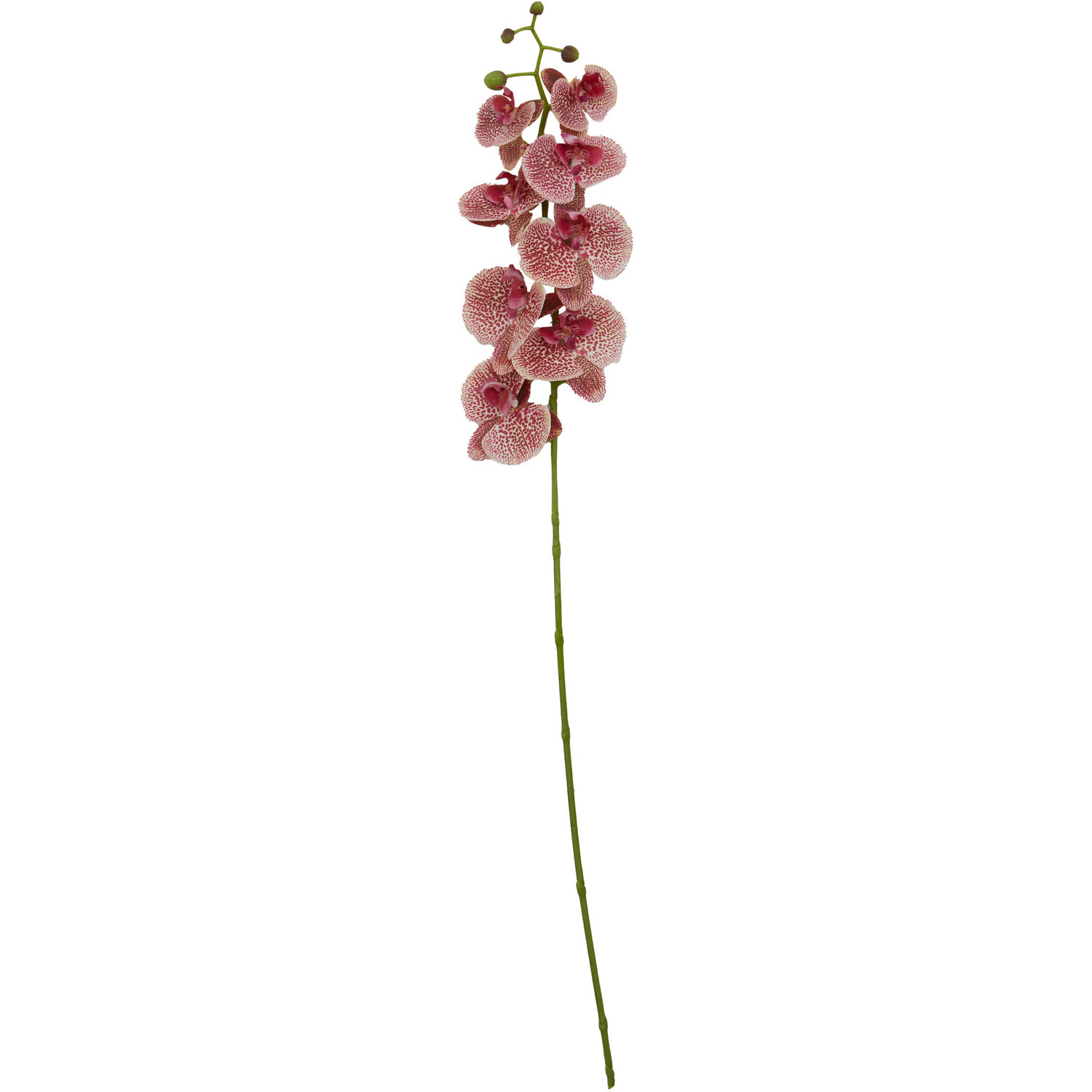 Fiori Tall Pink Orchid Spray Flower Stem - Pink