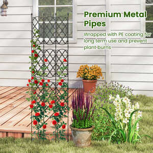 shot 15819124