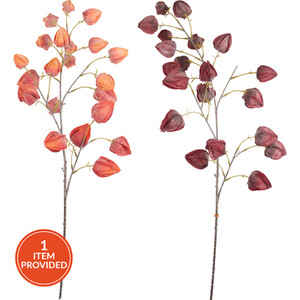 Autumn Physalis Faux Stem