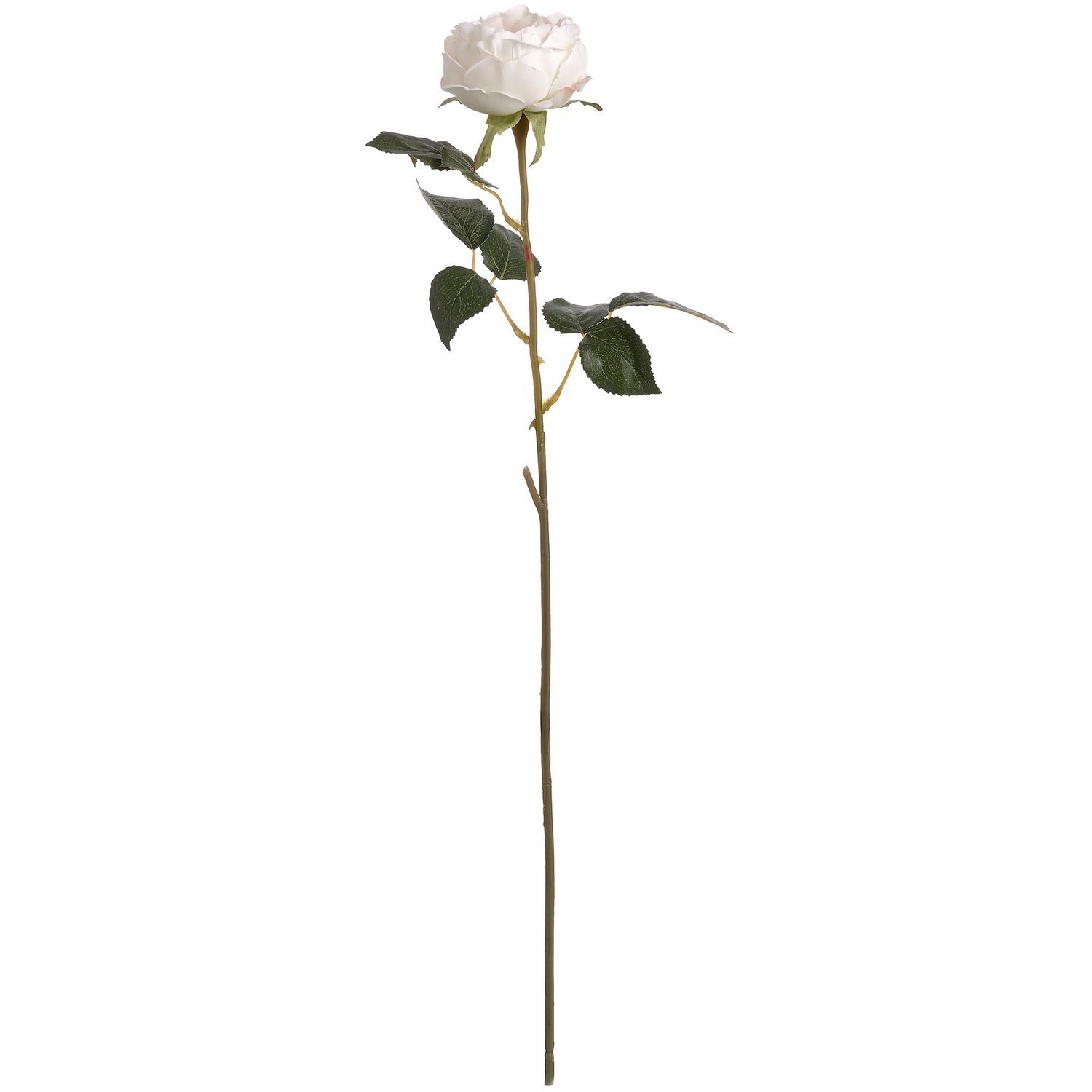 Hill Interiors Artificial Austin Rose - White/Blush Pink