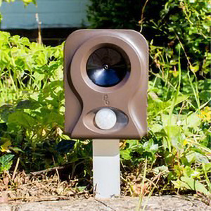  shot 17769104