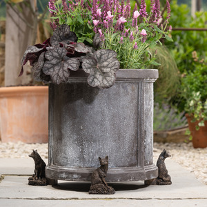  shot 1350580