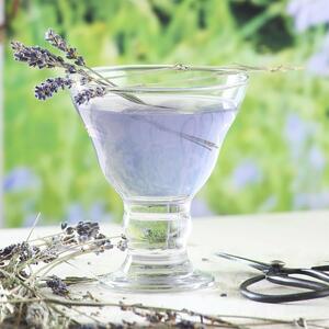 Orion Glass Ice Cream Bowls - 255ml - Pack of 12