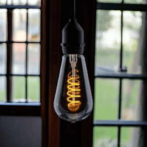 EcoTwist ST64 Spiral LED Filament Single Bulb
