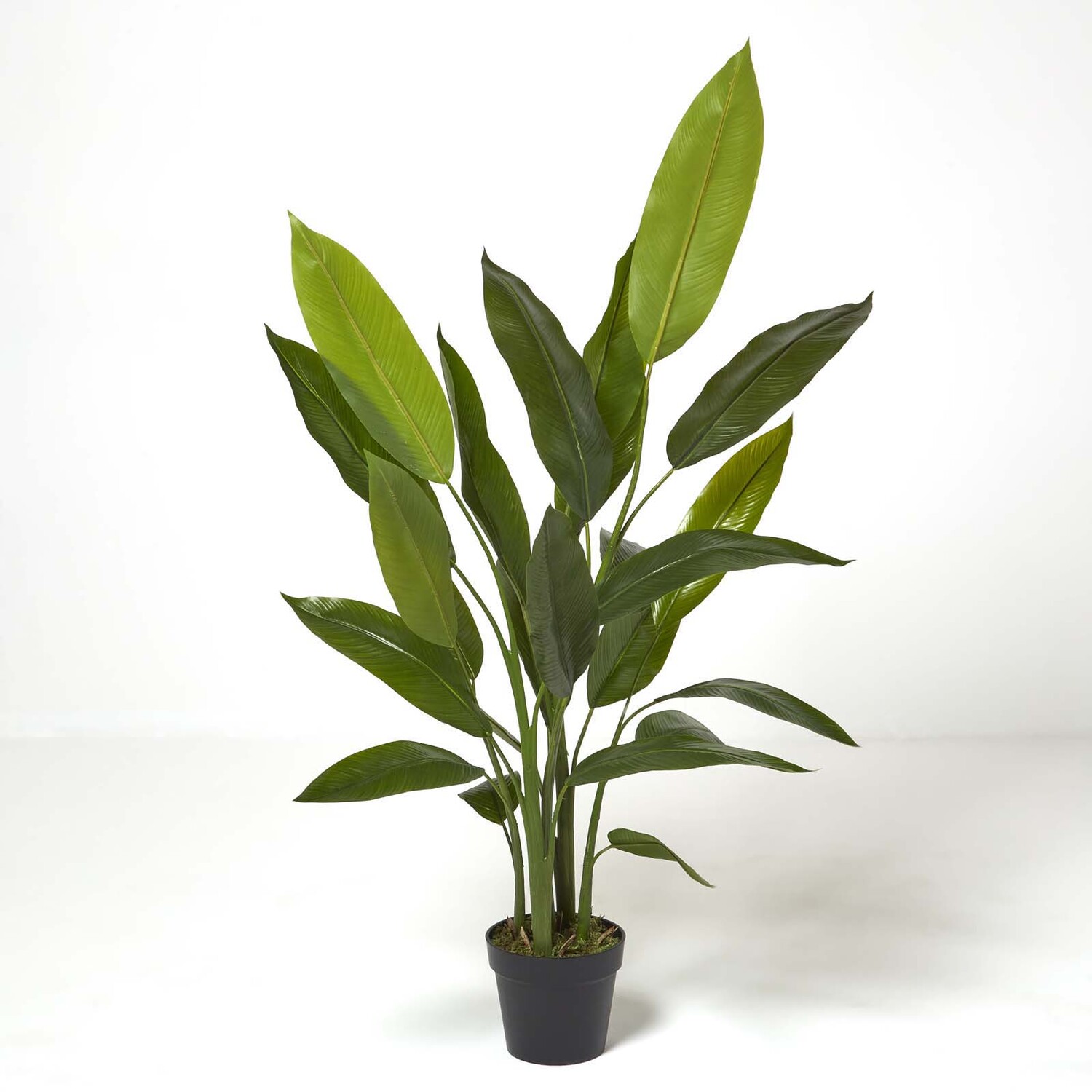 Homescapes Heliconia Plant in Pot, 140 cm Tall - Green