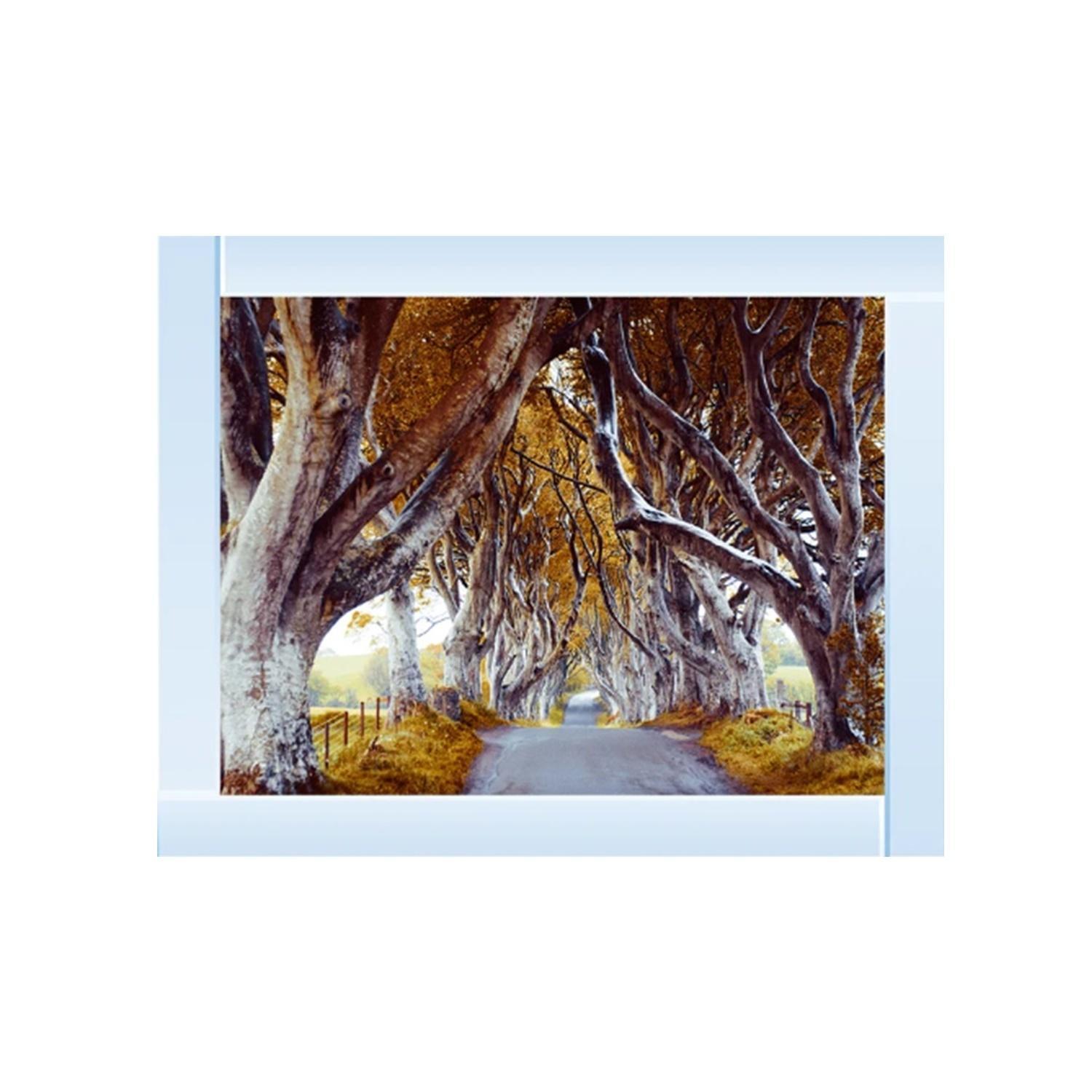 Dark Hedges Glitter Liquid Wall Art Dcor - Silver
