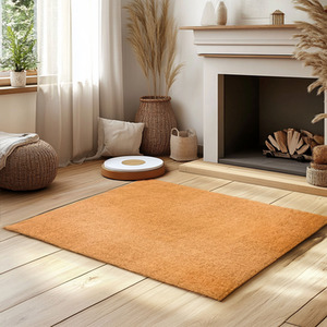 Non-Shed PVC Coir Entrance Doormat
