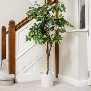 Artificial Ficus Tree Indoor Plant