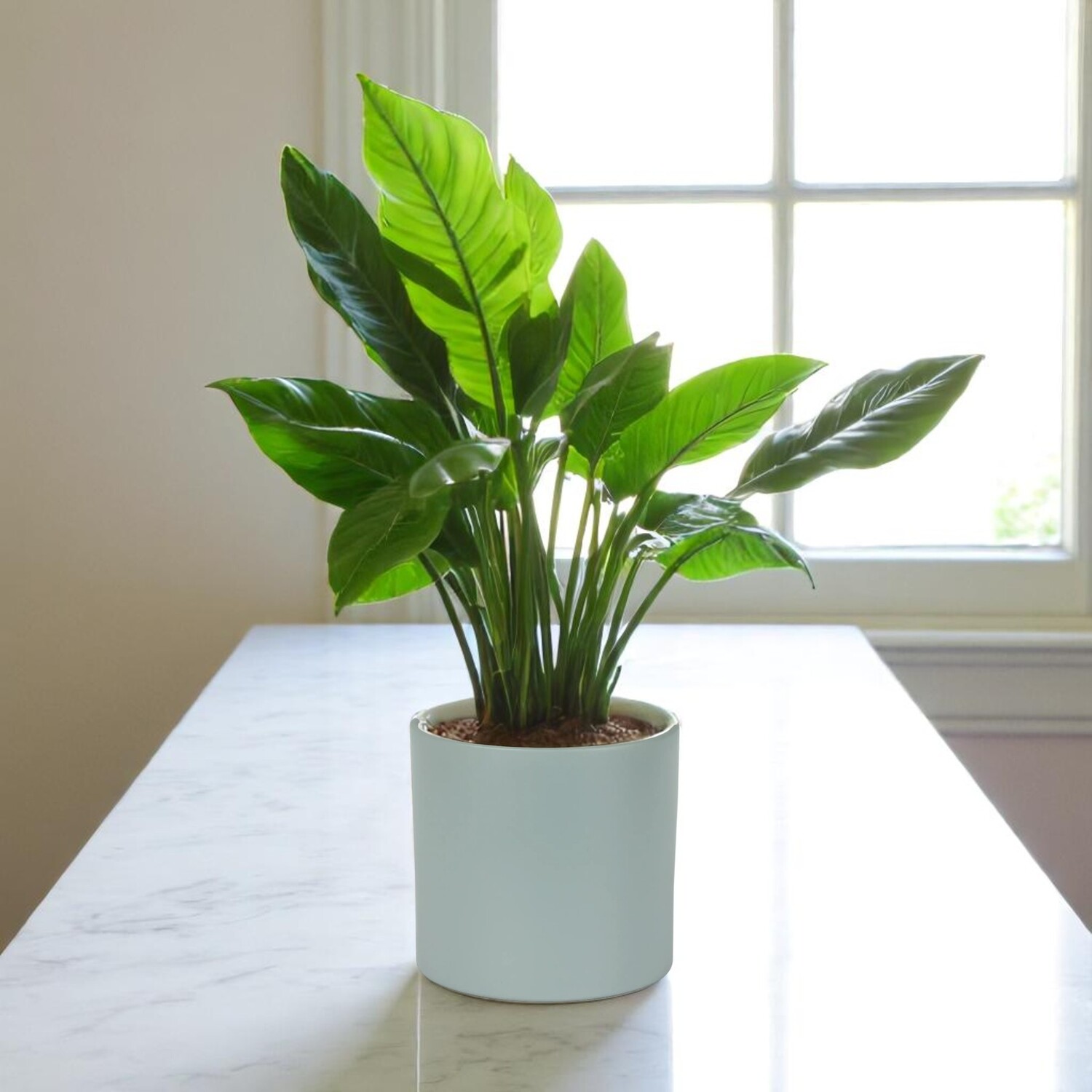 Matte Grey Ceramic Indoor Planter