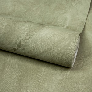 Green Grandeco Serra Rustic Painted Plaster Effect Textured Wallpaper, shot 11736104
