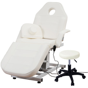 Adjustable Electric Facial Bed with Height Lift