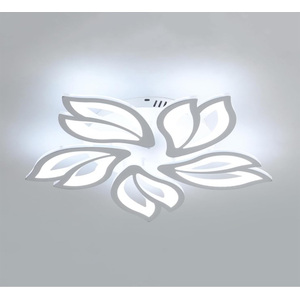 shot 13475174