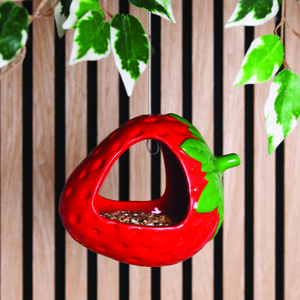 Strawberry Bird Feeder
