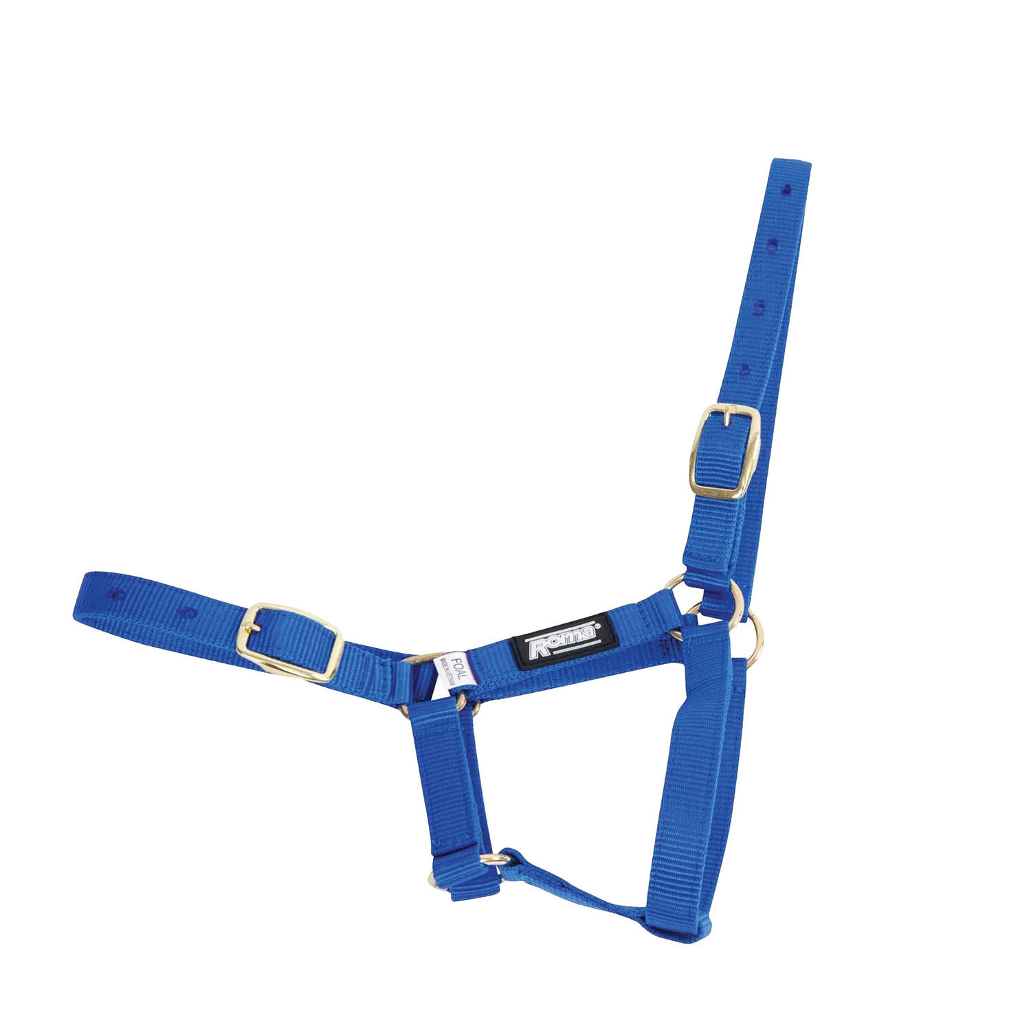 Roma Foal Headcollar - Blue