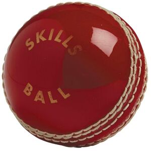 Gunn And Moore Unisex Adult Skills Cricket Ball