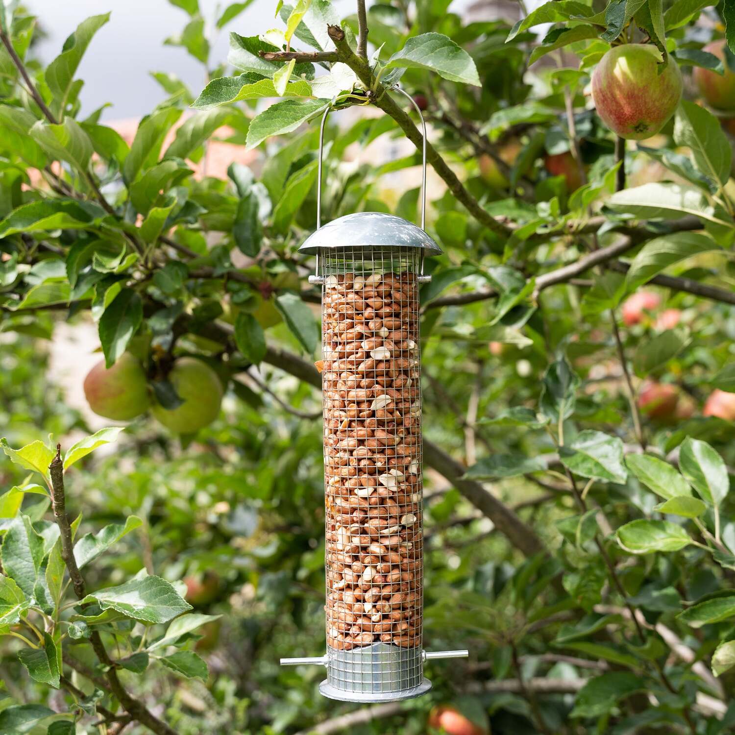 Image of Gardman Heavy Duty Large Peanut Feeder&hellip;