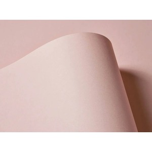 10 Sheets of A4 Extract Shell Pale Pink Recycled Paper 130gsm