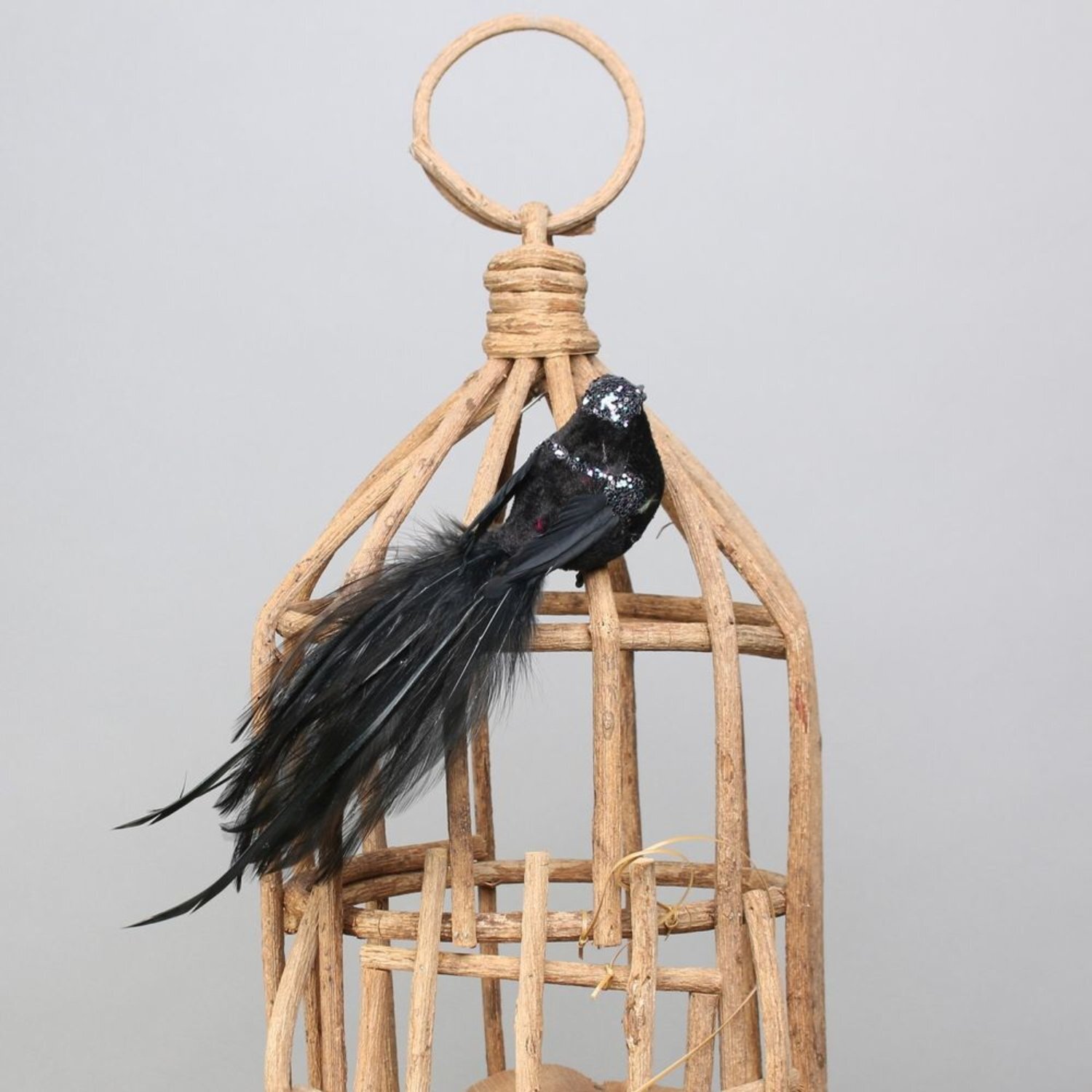  - Princess Bird With Clip 4 PackBlack - Image 3