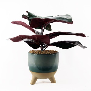 Artificial Ficus Plant with Teal Blue Green Ceramic Planter