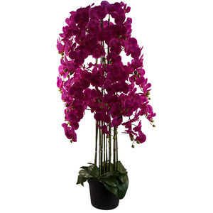 150cm Artificial White Orchid, 189 Real Touch Flowers