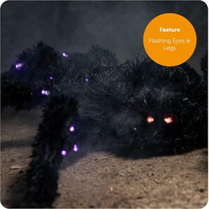  shot 5728195
