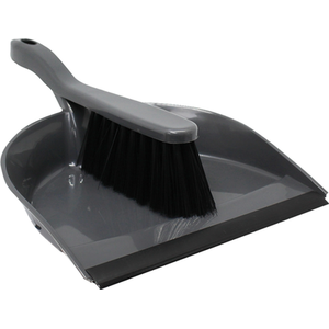Chemisure Dustpan and Brush