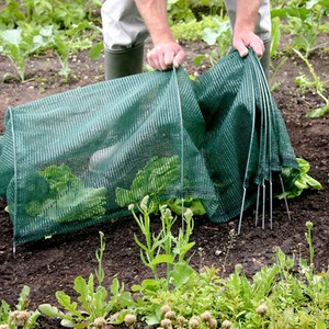 Giant Easy Net Tunnel Polytunnel for Gardeners