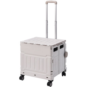 Collapsible Rolling Utility Crate