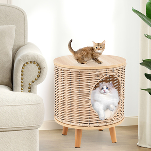 Cat Litter Box Enclosure Cat House