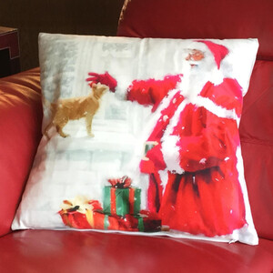 Santa Christmas Cat Cushion