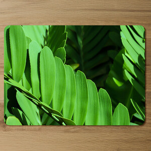 Natural dark green leaves, long slender green leaves Designer Placemat Set