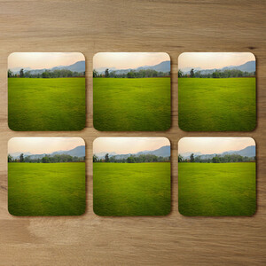 Image of lush grass field Designer Coaster Set